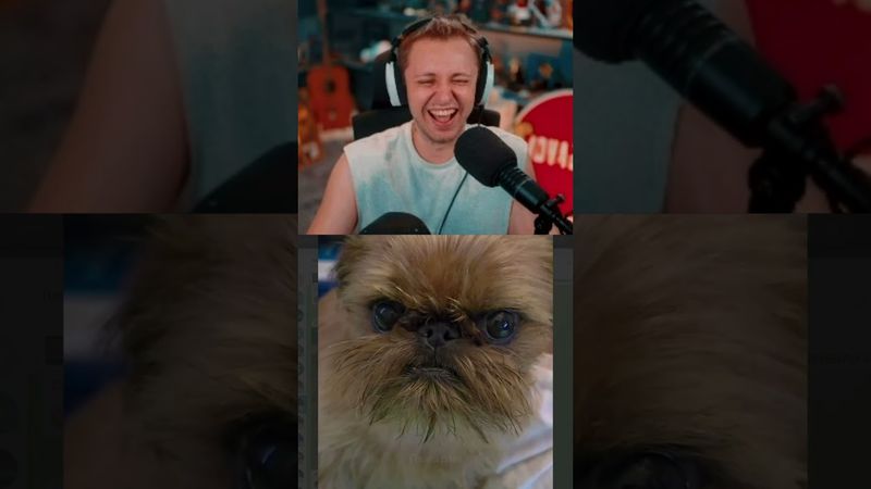 спалил кента #стинт #stint #stintik #прикол #реакция