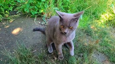 Славянск. 10 июля 2025г. Утро.