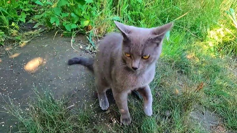 Славянск. 10 июля 2025г. Утро.