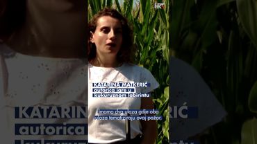 Kukuruzni labirint prava je atrakcija