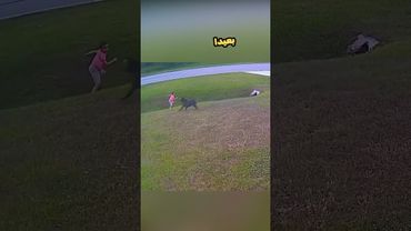 حاول حماية عائلته بكل قوته !