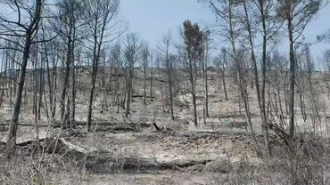 Fire in southwestern France leaves villages surrounded by charred vegetation | AFP