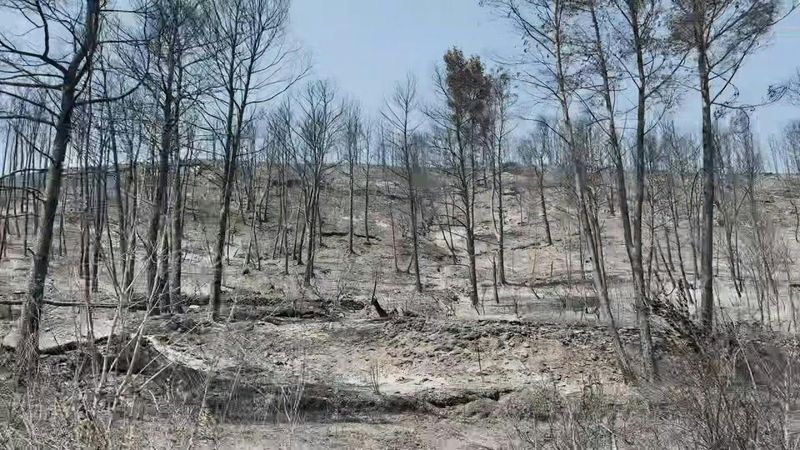 Fire in southwestern France leaves villages surrounded by charred vegetation | AFP