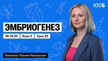 Эмбриогенез | Биофак 2025 | Урок 23