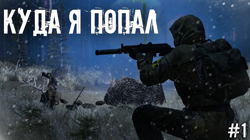 #1 Куда я попал?! | DayZ | ZeusProject | #Хоррор #survival #namalsk #dayz