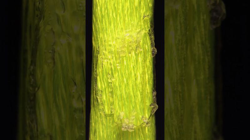 Close-Up Thread Melting