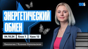 Энергетический обмен | Биофак 2025 | Урок 12