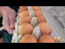 Salmonella outbreak linked to eggs sickens 95 people, CDC says