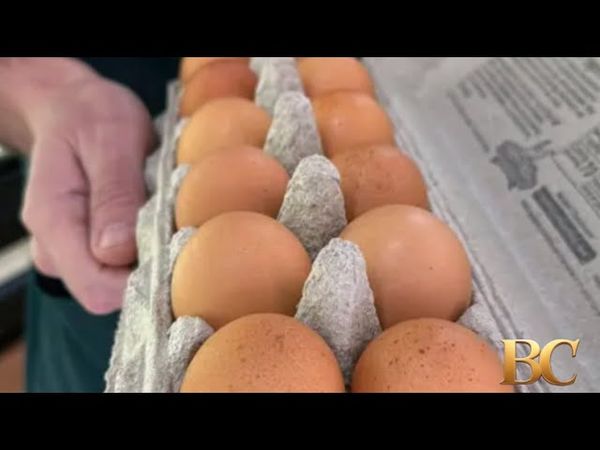 Salmonella outbreak linked to eggs sickens 95 people, CDC says