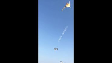 This Is Not A Mouse! #hangglider #funny #pets #cute #travel