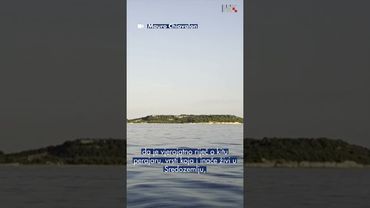 Uočen kit ispred pulske luke