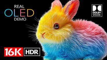 Most Realistic OLED TEST▫️16K HDR Dolby Vision (8K Video ULTRA HD)