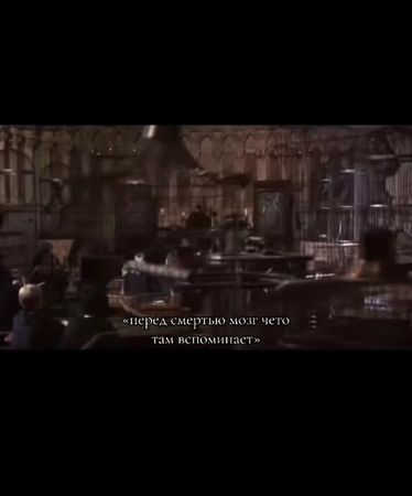 #гаррипоттер #переозвучка #CapCut #уизли #гермионагрейнджер 