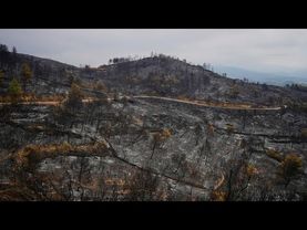 Wildfires rage across southern Europe amid record temperatures