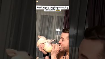 Pranking my dog by pretending to eat him #youtube #funny #anmals #pets #cutedog #funnyanimal