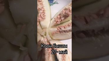 Анделек бышты