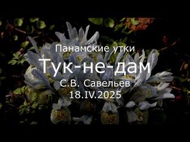 С.В. Савельев - Тук-не-дам