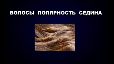 208   #ВОЛОСЫ #ПОЛЯРНОСТЬ #СЕДИНА