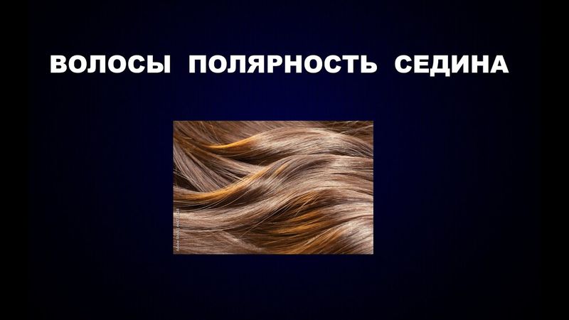 208   #ВОЛОСЫ #ПОЛЯРНОСТЬ #СЕДИНА