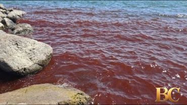 Locals panic as Sea of Galilee turns blood red in Biblical scenes