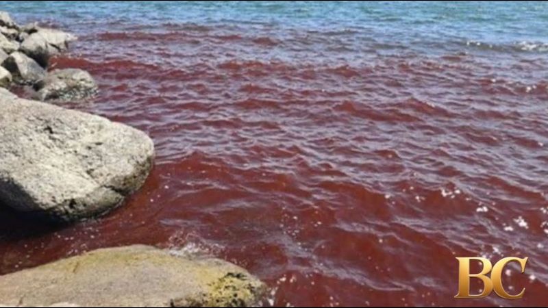 Locals panic as Sea of Galilee turns blood red in Biblical scenes