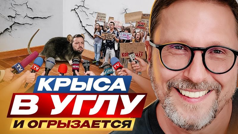 Крыса в углу и огрызается