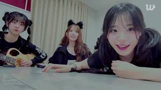 QWER Weverse Live Today May 16th 2025