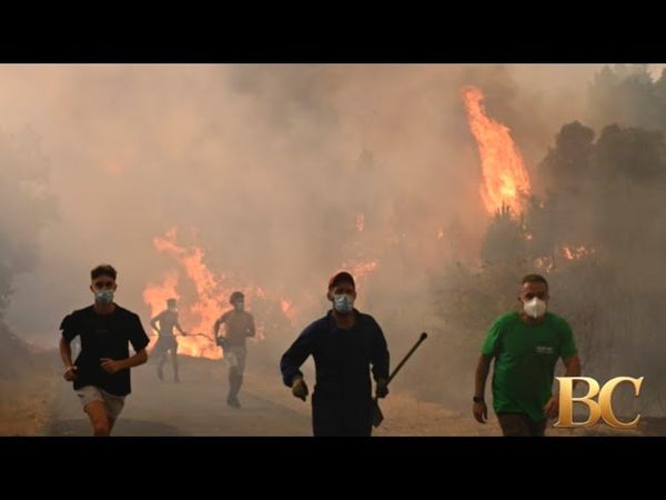 Spain, Portugal, and Greece battle wildfires as heatwave is expected to last for days