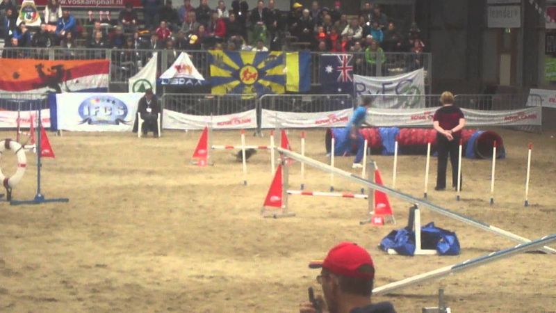 Соловьева и Адреналина  двоеборье аджилити ЧМ Голландия