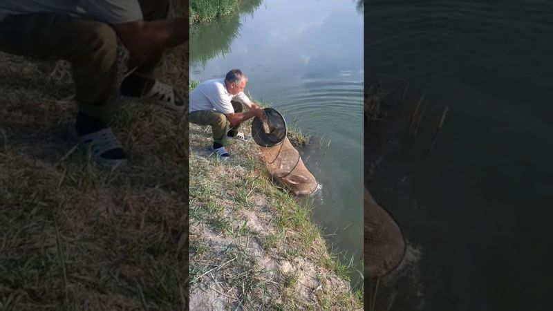 Результат рыбалки