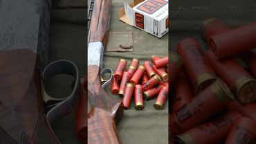 Browning Pigeon Grade BT-99 12 Gauge Shotgun