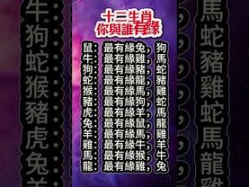 【十二生肖你與誰有緣】#生肖 #十二生肖 #運勢 #生肖運勢 #玄學 #風水 #命理
