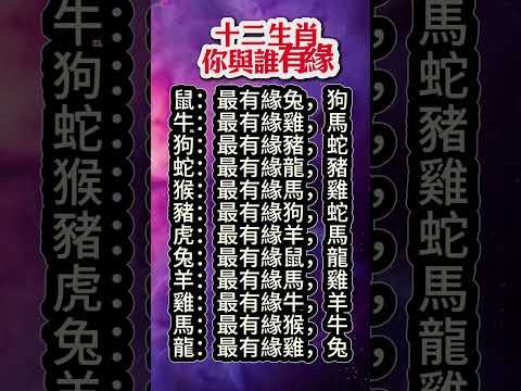 【十二生肖你與誰有緣】#生肖 #十二生肖 #運勢 #生肖運勢 #玄學 #風水 #命理