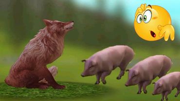 Бесконечные свиньи на ферме в WildCraft