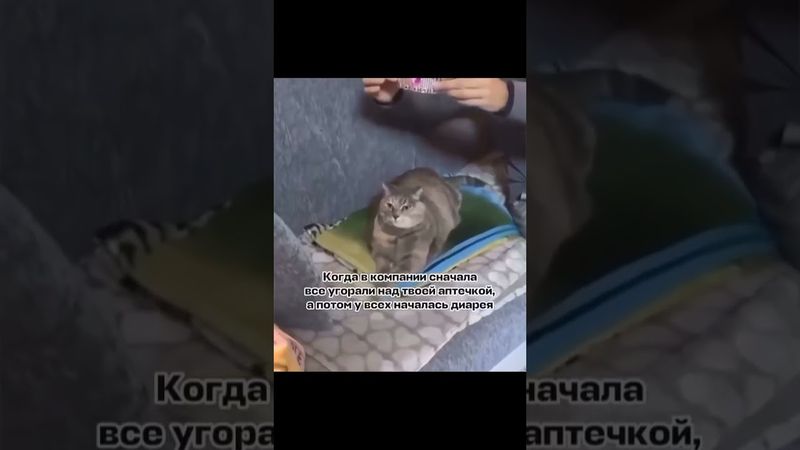 Придумавайте другие ситуации под этот ролик! #music #мем #этожизнь #cat #мемас #юмор #прикол #жизнь