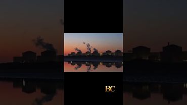 Swarm of jellyfish shuts nuclear power plant in France