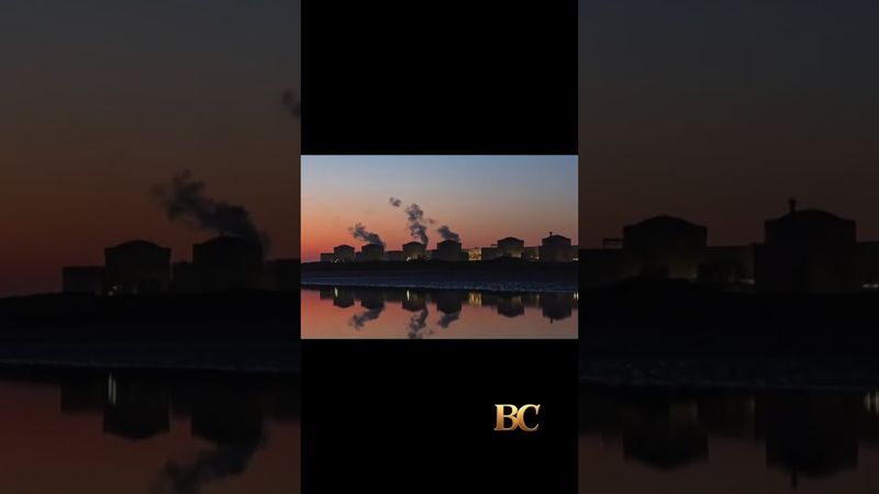 Uno sciame di meduse chiude una centrale nucleare in Francia