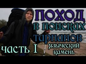ПОХОД в поисках диких лошадей ТАРПАНОВ: "ЯЗЫЧЕСКИЙ КАМЕНЬ" 1 часть