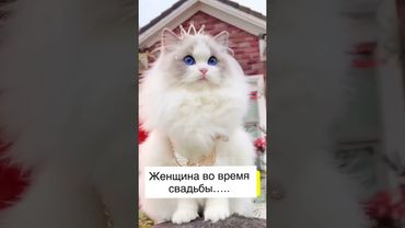 16 ноября 2025 г.