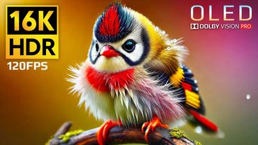 Cute Baby Animals | 16K HDR at 120fps Dolby Vision with Relaxing Music