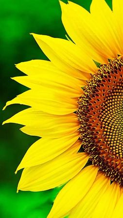 #удачнойсреды #добраипозитива #хорошегонастроениянавесьдень