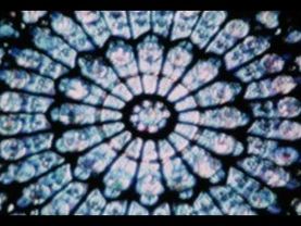 Nuestra Señora de Paris (Our Lady of Paris), Dir. Teo Hernández, 1982