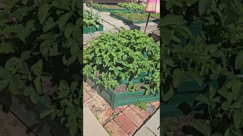 Ну как без этого всего.. 🤣🤔🫣