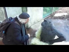 Мужик объясняет умной обезьянке...(оригинал)