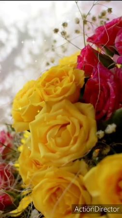 TikTok video #7056611118273416450