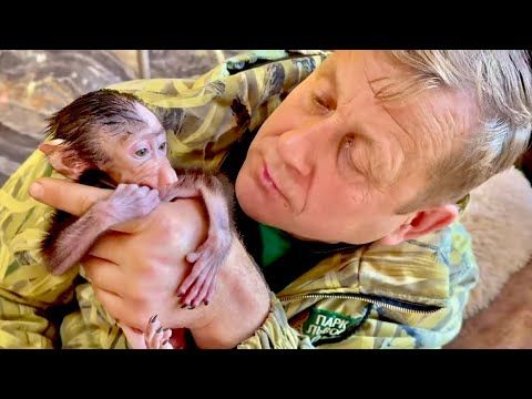 ДА УЖ! Олег Зубков просто подошел в ВЗЯЛ Анфису у грозной мамы гамадрила для осмотра!