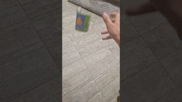 Расслабилась в конце. Автор видео: @nawkbnd  #комментарии #шуточное #прикол