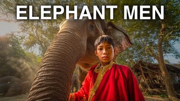 LES HOMMES ÉLÉPHANTS : L’incroyable histoire de la tribu qui vit avec les éléphants en Thaïlande 🇹🇭