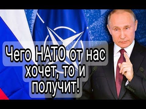 Путин ответил на призывы НАТО