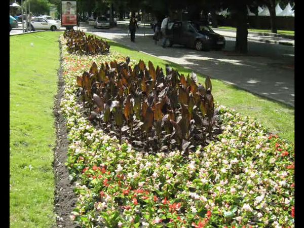 Михаил Боярский. Городские цветы.wmv